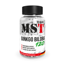 Ginkgo Biloba 120mg 90 Veg Caps, MST - Veg Caps