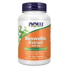 Boswellia Extract 250mg 120 Veg Caps, NOW Foods - Veg Caps