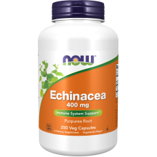 Echinacea 400mg 250 Veg Caps, NOW Foods - Veg Caps