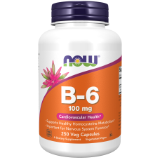 Vitamin B-6 100mg 250 Veg Caps, NOW Foods - Caps